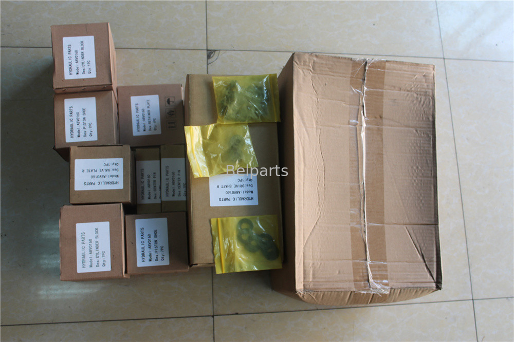 Hydraulikbagger-Parts Axial Piston-Pumpen-Bewegungsreparatur-sets Rexroth A6VM A2FM A4VG A8V A10V A10VO A11V