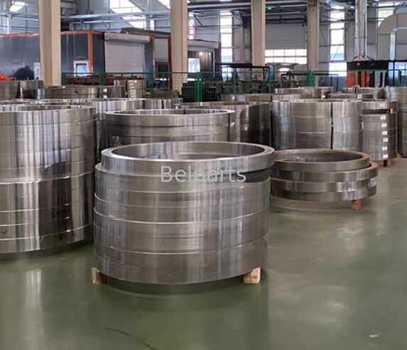 CX135 Schleiflager für CASE Bagger Ersatzteile 1706219 Schwingkreis Schleifring OEM